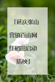 延庆张山营镇百亩网红稻田启动插秧
